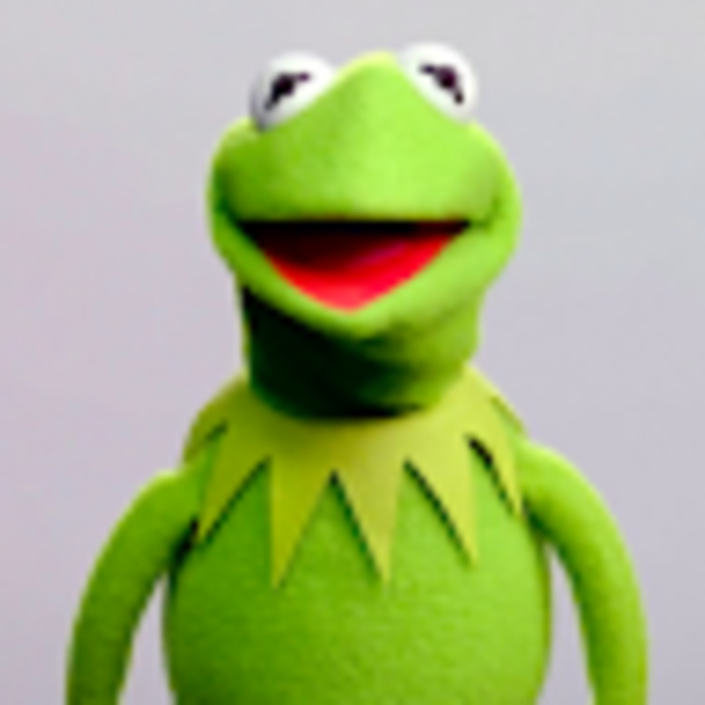 Meet your Posher, Kermit